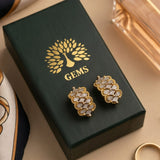 The Iris Lattice Hoops