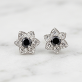 Midnight Star Studs