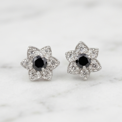 Midnight Star Studs